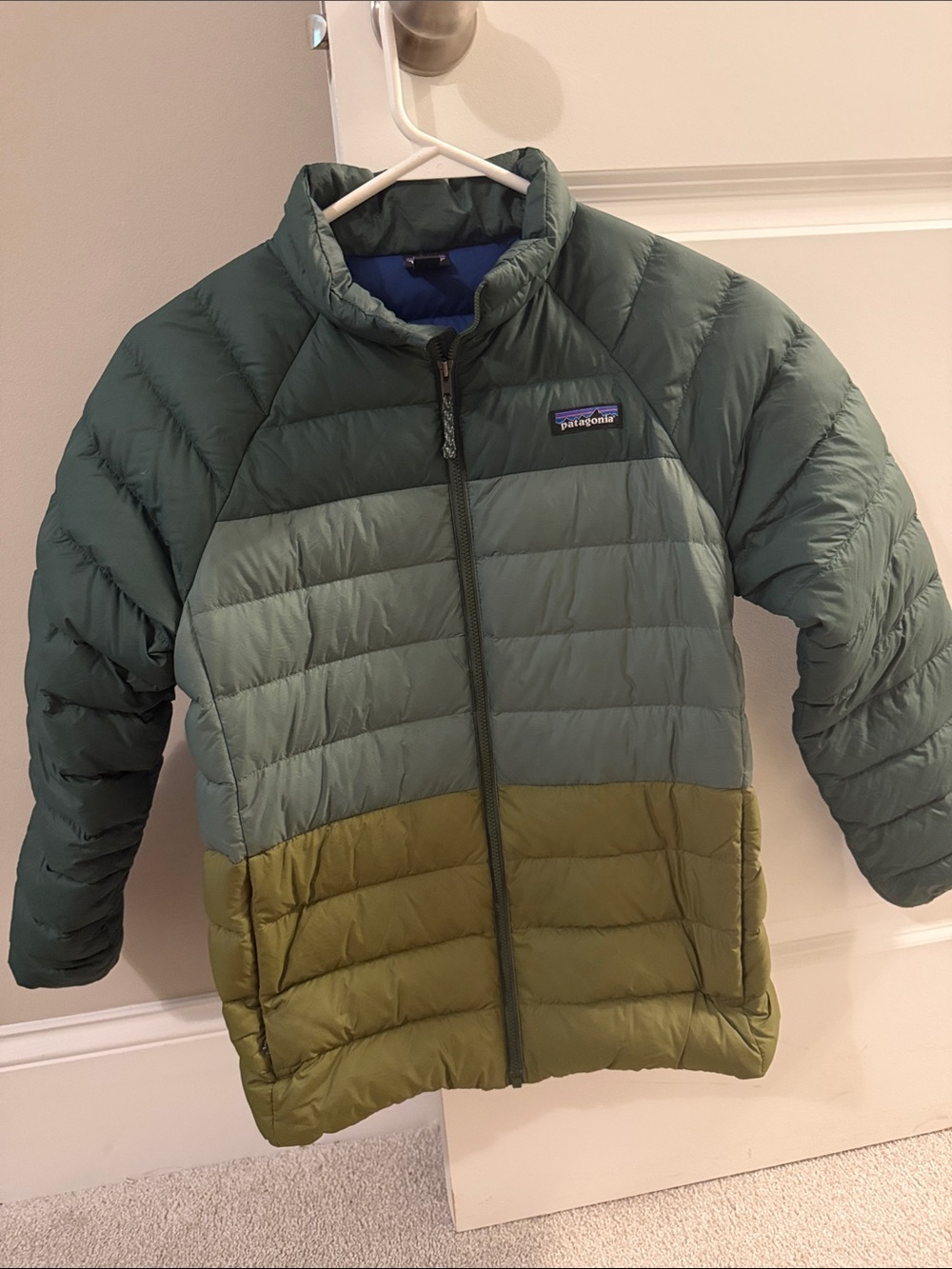 Patagonia Kids Colorblock Puffer Jacket in Forest, Sage & Olive